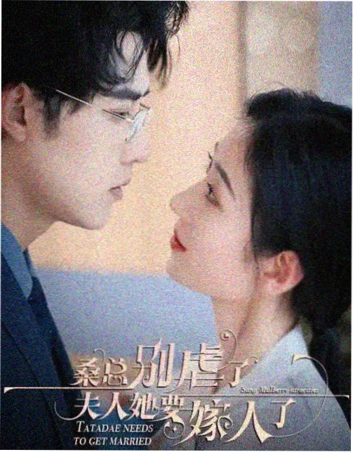 大明王朝1566古装历史剧